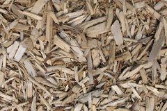 biomass boilers Tredannick